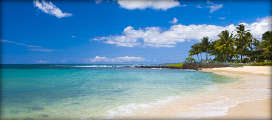 Kauai Beach Weddings Photo